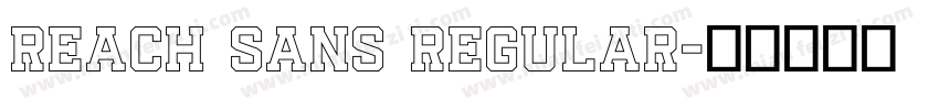 Reach Sans Regular字体转换